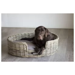 Dierbenodigdheden-Honden -Dierbenodigdheden-Honden 2528 941147 2