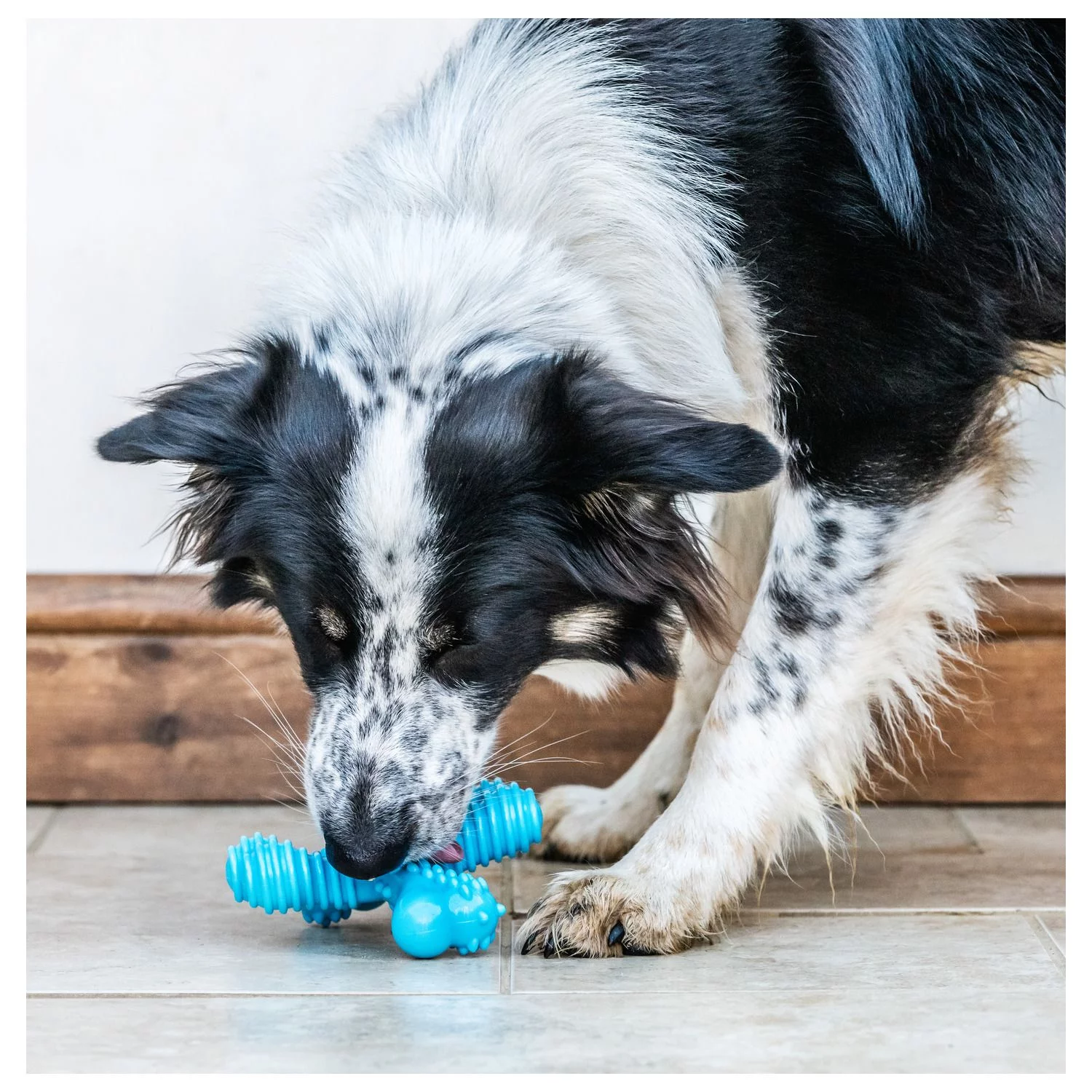 Nylabone Extreme Chew X Bone Rund - Hondenspeelgoed 2 Nylabone Extreme Chew X Bone Rund - Hondenspeelgoed - Afbeelding 2