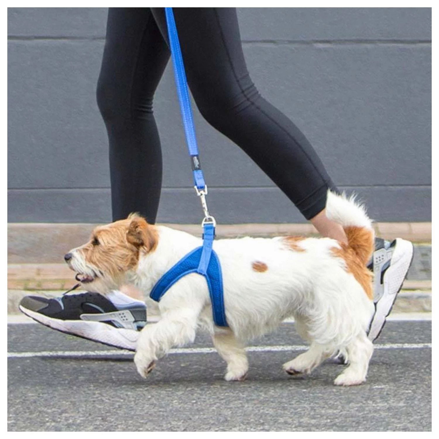 Rogz Utility Fast Fit Tuig Zwart - Hondenharnas 2 Rogz Utility Fast Fit Tuig Zwart - Hondenharnas - Afbeelding 2