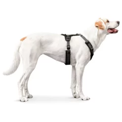 Hunter Harnas Maldon Zwart&Grijs - Hondentuig -Dierbenodigdheden-Honden 2674 M 30013768 4