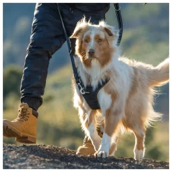 Rogz Explore Tuig Gevoerd Rood - Hondenharnas -Dierbenodigdheden-Honden 2764 M 10044064 4