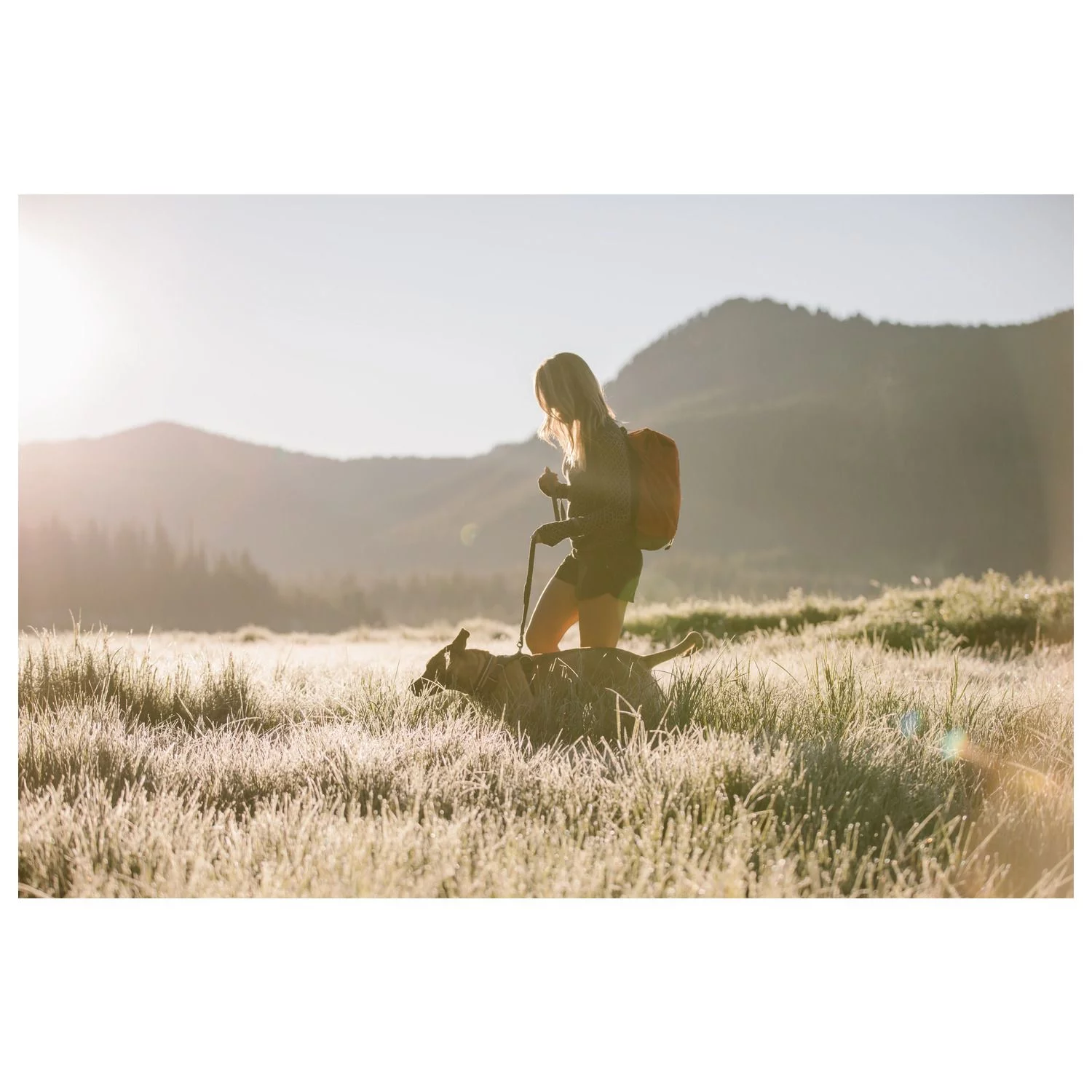 Ruffwear Leash Twilight Gray - Hondenriem - 150x2 Cm Grijs 8 Ruffwear Leash Twilight Gray - Hondenriem - 150x2 Cm Grijs - Afbeelding 8