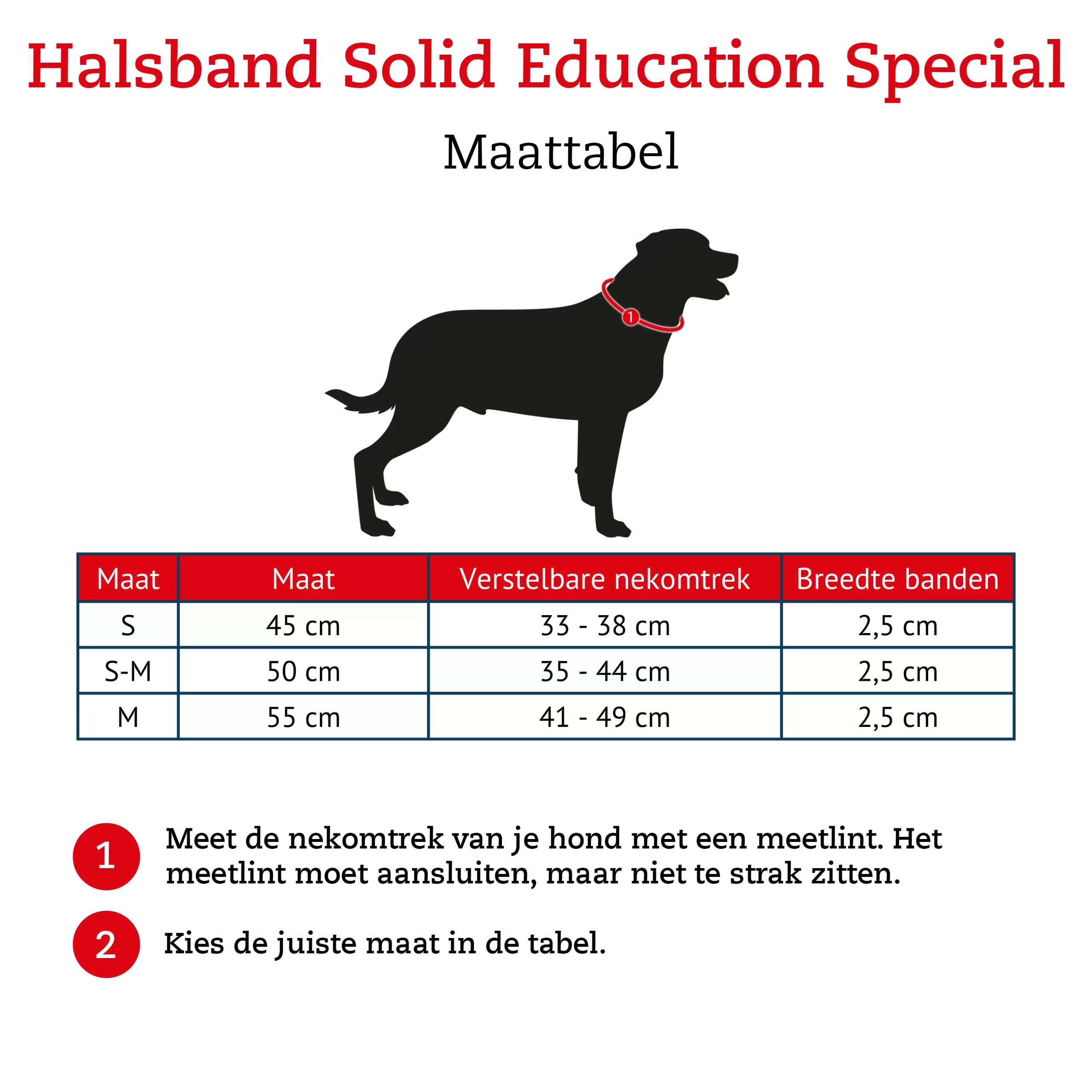 Hunter Halsband Solid Education Special Cognac - Hondenhalsband 2 Hunter Halsband Solid Education Special Cognac - Hondenhalsband - Afbeelding 2