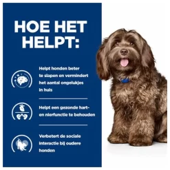 Hill's Prescription Diet B/D Ageing And Alertness Care Zak - Hondenvoer - Kip 12 Kg 12 Hill's Prescription Diet B/D Ageing And Alertness Care Zak - Hondenvoer - Kip 12 Kg -Dierbenodigdheden-Honden 2882 10022292 4