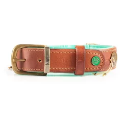 Dwam Halsband Indi Moon Goud&Turquoise - Hondenhalsband -Dierbenodigdheden-Honden 2895 M 30002461 5