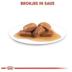 Royal Canin Maxi Adult Natvoer - Hondenvoer - 10x140 G 10 Royal Canin Maxi Adult Natvoer - Hondenvoer - 10x140 G -Dierbenodigdheden-Honden 2900 10024483 3