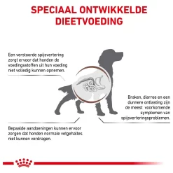 Royal Canin Veterinary Diet Gastro Intestinal Low Fat - Hondenvoer 10 Royal Canin Veterinary Diet Gastro Intestinal Low Fat - Hondenvoer -Dierbenodigdheden-Honden 2925 M 10000537 4