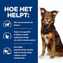 Hill's Prescription Diet Metabolic Weight Management - Hondenvoer - Lam Rijst 12 Kg -Dierbenodigdheden-Honden 2962 30019283 4