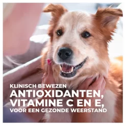 Hill's Canine Senior - Hondenvoer - Kip 12 Kg -Dierbenodigdheden-Honden 2968 115104 5