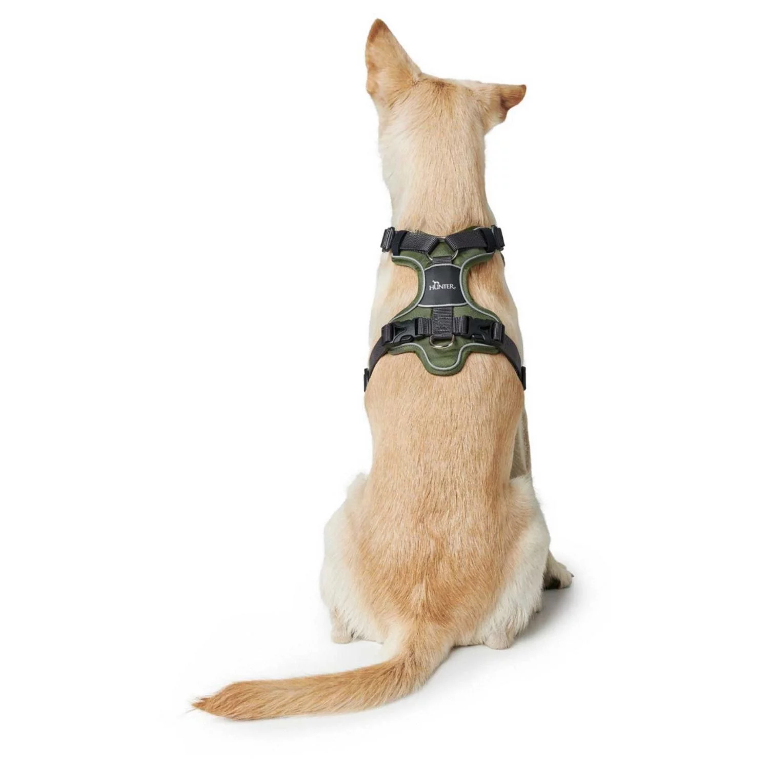 Hunter Harnas Divo Groen&Grijs - Hondentuig 5 Hunter Harnas Divo Groen&Grijs - Hondentuig - Afbeelding 5