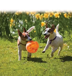 Kong Jumbler Ball Assorti - Hondenspeelgoed 9 Kong Jumbler Ball Assorti - Hondenspeelgoed -Dierbenodigdheden-Honden 3137 M 940281 5