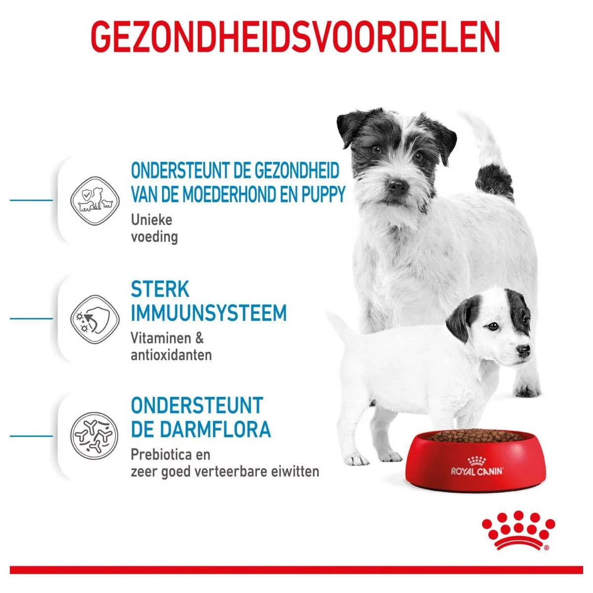 Royal Canin Mini Starter Mother & Babydog - Puppy-Hondenvoer 9 Royal Canin Mini Starter Mother & Babydog - Puppy-Hondenvoer - Afbeelding 9