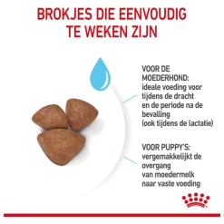 Royal Canin Mini Starter Mother & Babydog - Puppy-Hondenvoer 19 Royal Canin Mini Starter Mother & Babydog - Puppy-Hondenvoer -Dierbenodigdheden-Honden 3182550932707 5