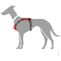 Hunter Harnas Divo Rood&Grijs - Hondentuig -Dierbenodigdheden-Honden 3212 M 30013793 8
