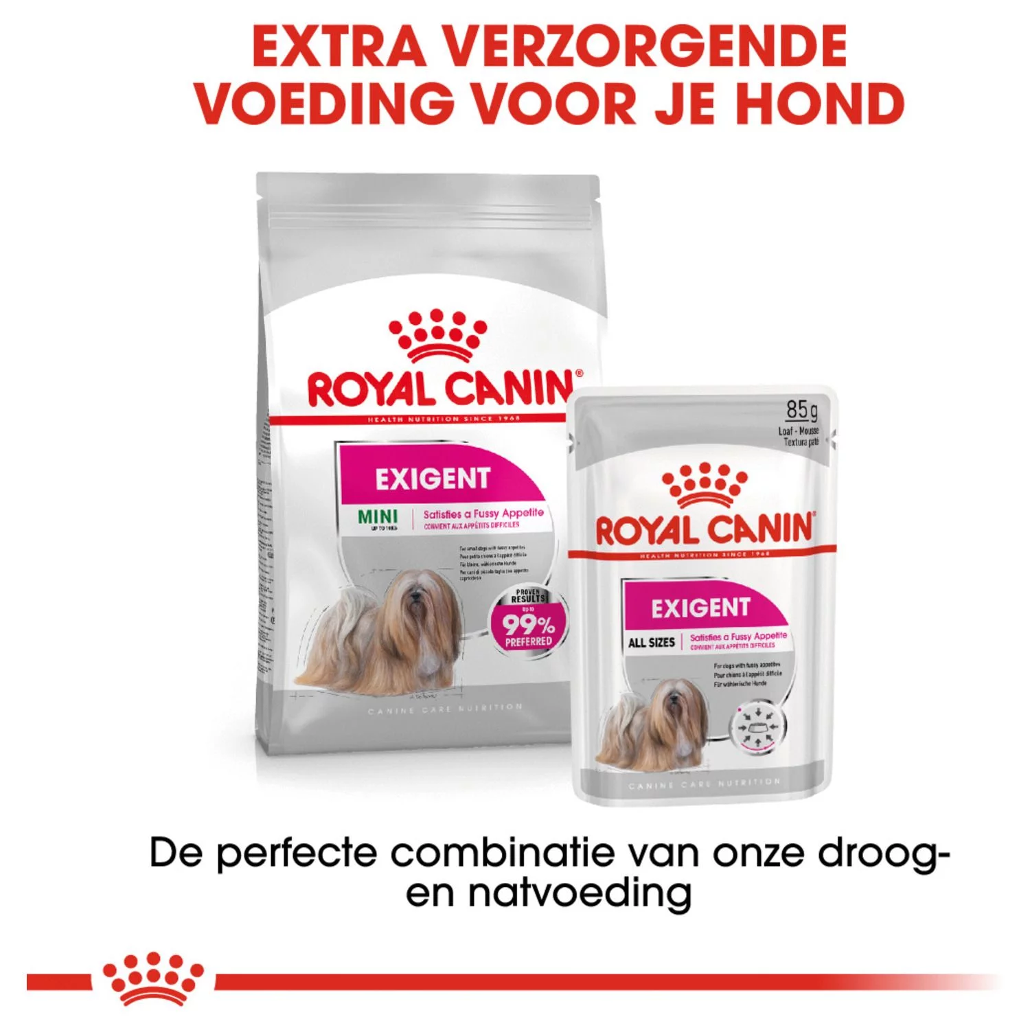 Royal Canin Exigent Natvoer - Hondenvoer - 12x85 G 5 Royal Canin Exigent Natvoer - Hondenvoer - 12x85 G - Afbeelding 5