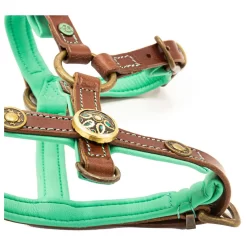 Dwam Hondentuig Rock Leer Bruin&Turquoise - Hondenharnas -Dierbenodigdheden-Honden 3264 M 30002455 3