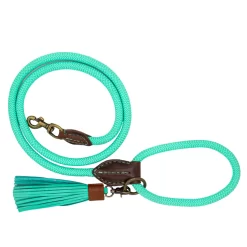 Dwam Looplijn Jade Touw Turquoise - Hondenriem