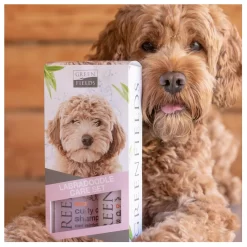 Greenfields Labradoodle Care Set - Hondenvachtverzorging - 2 X 250 Mm Roze 14 Greenfields Labradoodle Care Set - Hondenvachtverzorging - 2 X 250 Mm Roze -Dierbenodigdheden-Honden 3332 10047139 7