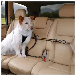 Kurgo Auto Zip Line - Hondenautoaccessoire - Zwart Oranje -Dierbenodigdheden-Honden 3460 30021315 9