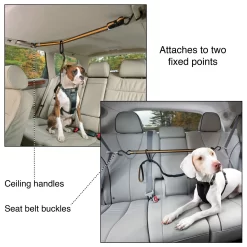 Kurgo Auto Zip Line - Hondenautoaccessoire - Zwart Oranje -Dierbenodigdheden-Honden 3506 30021315 6