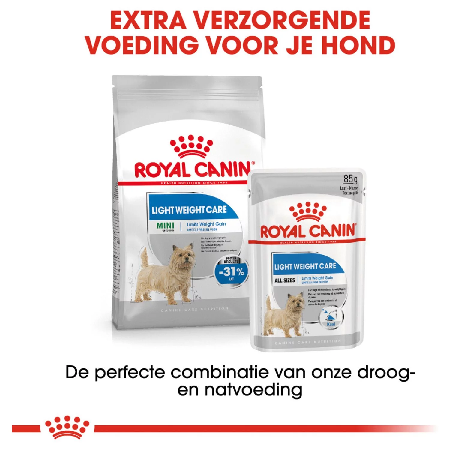 Royal Canin Light Weight Care Natvoer - Hondenvoer - 12x85 G 5 Royal Canin Light Weight Care Natvoer - Hondenvoer - 12x85 G - Afbeelding 5