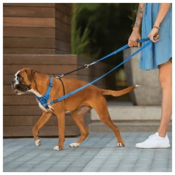 Rogz Utility Stop Pull Tuig Roze - Hondenharnas -Dierbenodigdheden-Honden 3527 M 30016284 3