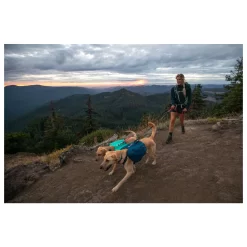 Ruffwear Switchbak Looplijn - Hondenriem - 0.70-2.10 Cm Graniet -Dierbenodigdheden-Honden 3534 30017702 9