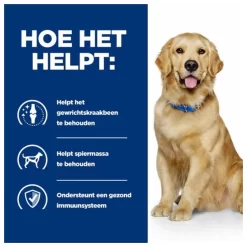 Hill's Prescription Diet J/D Joint Care Zak Kip - Hondenvoer -Dierbenodigdheden-Honden 3539 M 10022318 4