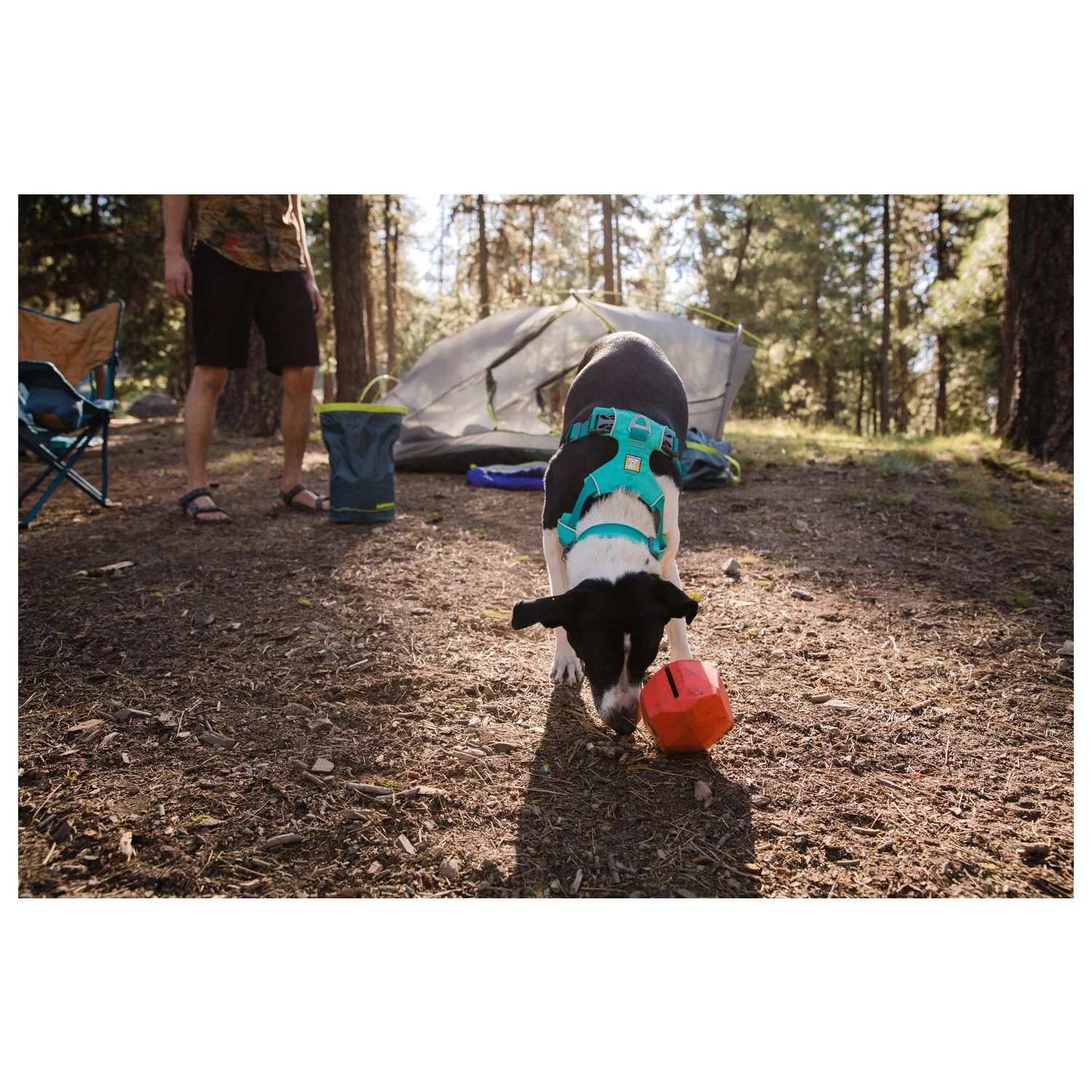 Ruffwear Front Range Collar Aurora Teal Teal - Hondenhalsband 5 Ruffwear Front Range Collar Aurora Teal Teal - Hondenhalsband - Afbeelding 5