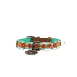 Dwam Halsband Paddy Lee Turquoise - Hondenhalsband