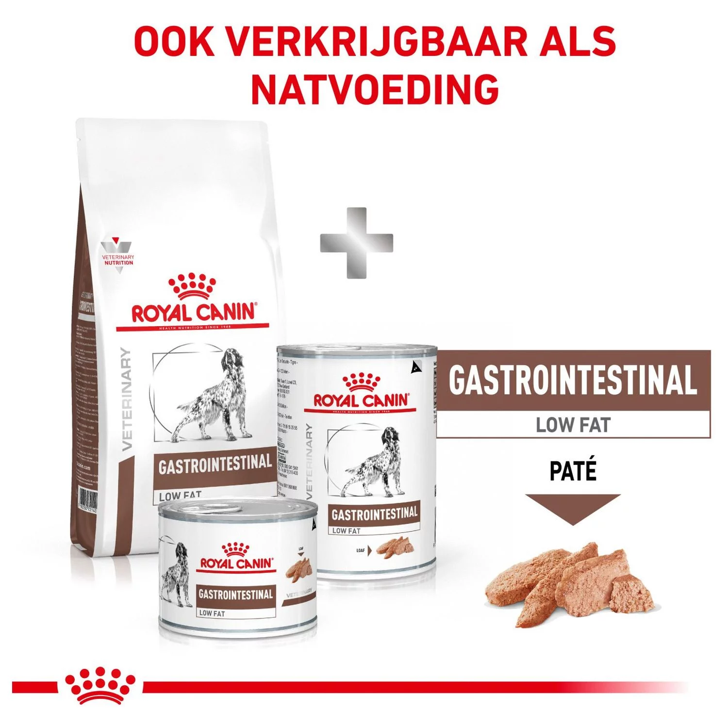 Royal Canin Veterinary Diet Gastro Intestinal Low Fat - Hondenvoer 6 Royal Canin Veterinary Diet Gastro Intestinal Low Fat - Hondenvoer - Afbeelding 6