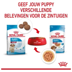 Royal Canin Medium Natvoer - Puppy-Hondenvoer - 10x140 G -Dierbenodigdheden-Honden 3663 10024479 5