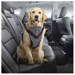 All For Paws Honden Autogordel - Hondenautoaccessoire - Nek40-63/Borst 46-71 Cm Grijs 8 All For Paws Honden Autogordel - Hondenautoaccessoire - Nek40-63/Borst 46-71 Cm Grijs -Dierbenodigdheden-Honden 3663 10047382 3