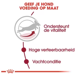 Royal Canin Medium Adult 7+ - Hondenvoer -Dierbenodigdheden-Honden 3669 M 120633 3