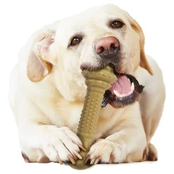 Nylabone Dura Chew Power Peanut Butter - Hondenspeelgoed - Pindakaas Bruin Voor Honden Tot 23kg L -Dierbenodigdheden-Honden 3693 30019691 3