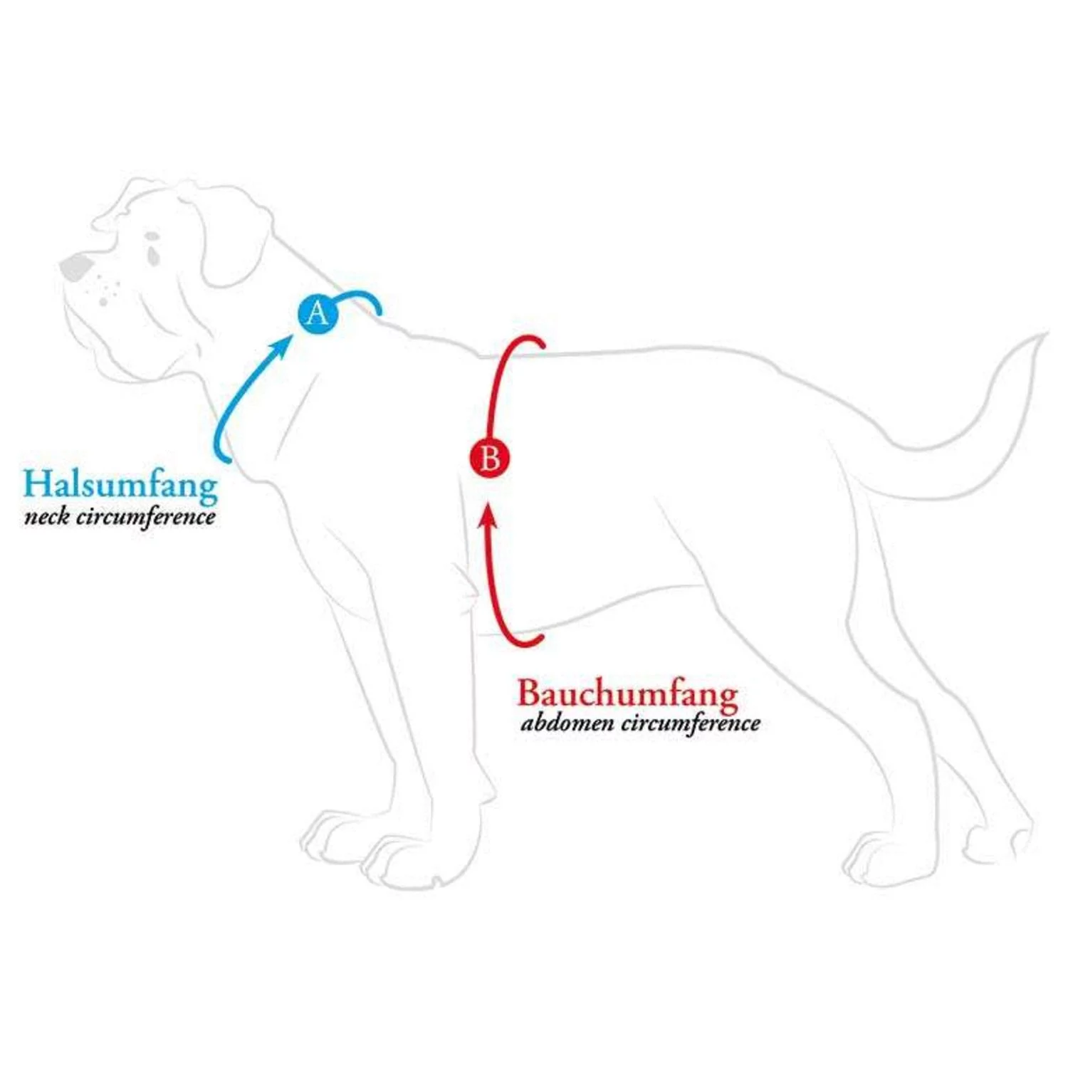 Hunter Harnas Maldon Petrol&Grijs - Hondentuig 6 Hunter Harnas Maldon Petrol&Grijs - Hondentuig - Afbeelding 6