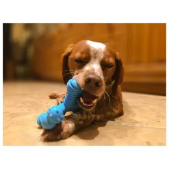 Nylabone Extreme Chew X Bone Rund - Hondenspeelgoed 8 Nylabone Extreme Chew X Bone Rund - Hondenspeelgoed -Dierbenodigdheden-Honden 3729 M 10046529 4