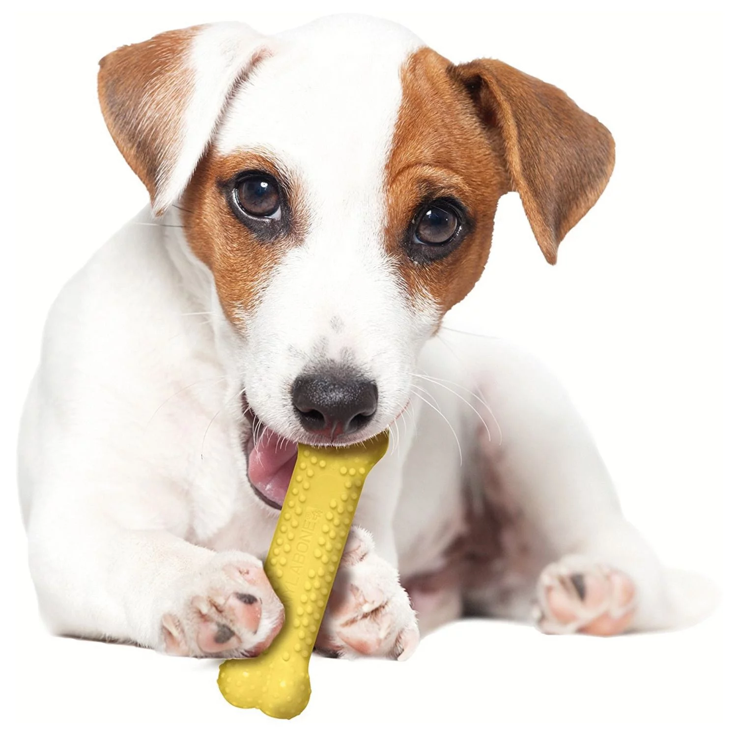 Nylabone Durachew Kit Summer - Hondenspeelgoed - Mais Barbecue Vanille 10.5x11.5x2 Cm Geel Bruin Creme 3 Stuks Voor Honden < 11kg S 3 Nylabone Durachew Kit Summer - Hondenspeelgoed - Mais Barbecue Vanille 10.5x11.5x2 Cm Geel Bruin Creme 3 Stuks Voor Honden < 11kg S - Afbeelding 3