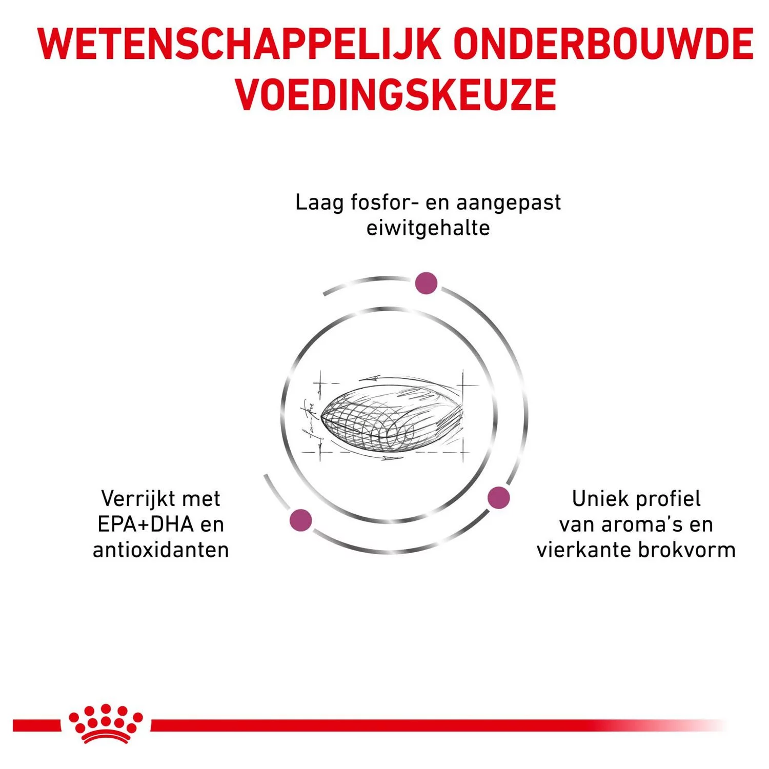 Royal Canin Veterinary Diet Dog Renal - Hondenvoer - 14 Kg 5 Royal Canin Veterinary Diet Dog Renal - Hondenvoer - 14 Kg - Afbeelding 5
