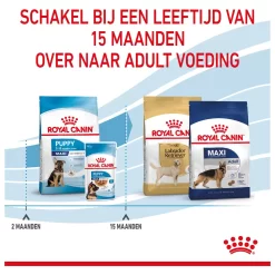 Royal Canin Maxi - Puppy-Hondenvoer -Dierbenodigdheden-Honden 3928 M 120609 6