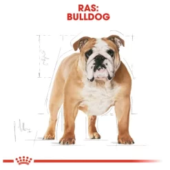 Royal Canin Bulldog Adult - Hondenvoer 11 Royal Canin Bulldog Adult - Hondenvoer -Dierbenodigdheden-Honden 3947 M 030610 5