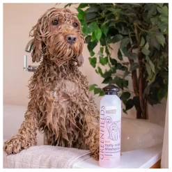 Greenfields Labradoodle Care Set - Hondenvachtverzorging - 2 X 250 Mm Roze 13 Greenfields Labradoodle Care Set - Hondenvachtverzorging - 2 X 250 Mm Roze -Dierbenodigdheden-Honden 3992 10047139 6