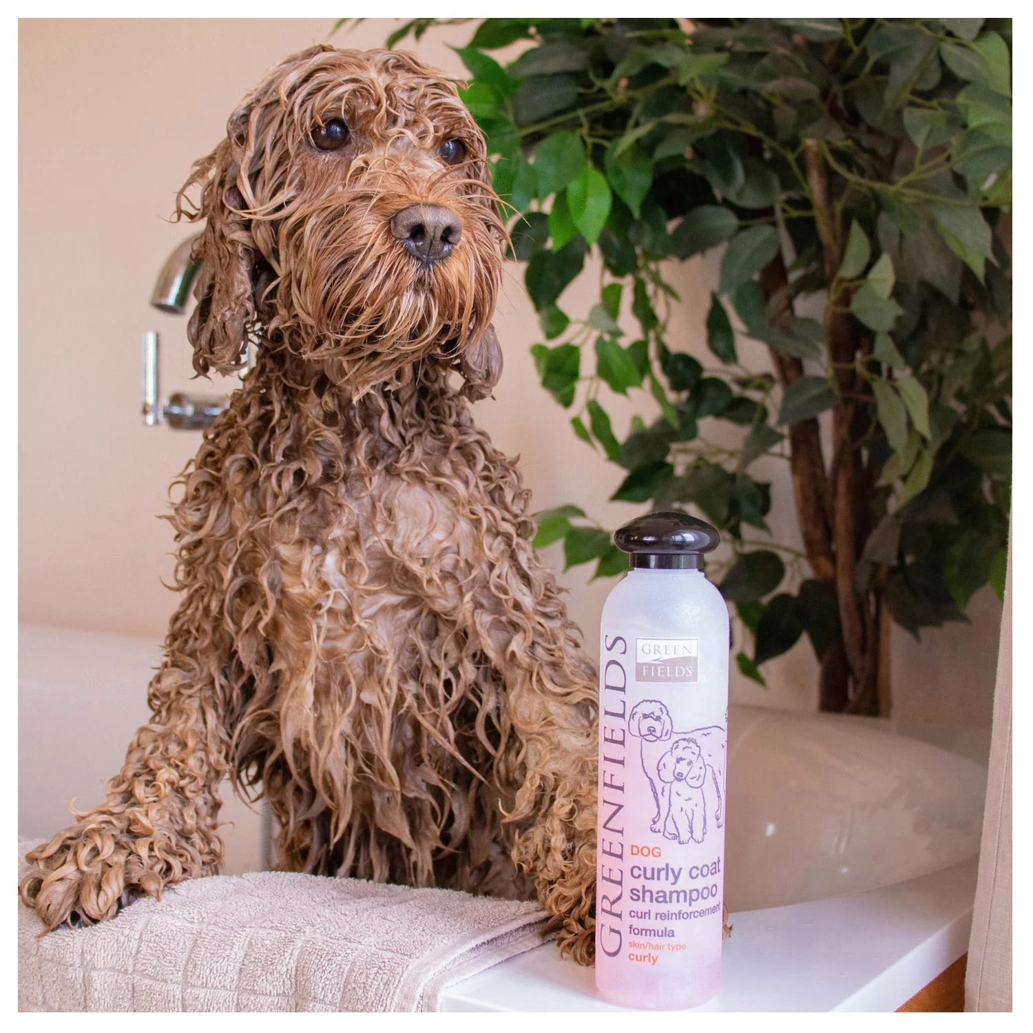 Greenfields Labradoodle Care Set - Hondenvachtverzorging - 2 X 250 Mm Roze 6 Greenfields Labradoodle Care Set - Hondenvachtverzorging - 2 X 250 Mm Roze - Afbeelding 6