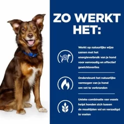 Hill's Prescription Diet Metabolic Weight Management - Hondenvoer - Lam Rijst 12 Kg -Dierbenodigdheden-Honden 4075 30019283 3