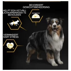 Pro Plan Dog Adult Light Kip - Hondenvoer -Dierbenodigdheden-Honden 4137 M 335047 10