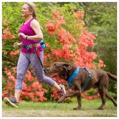 Kurgo K9 Excusion Running Belt - Hondenheupgordel - Grijs Rood 17 Kurgo K9 Excusion Running Belt - Hondenheupgordel - Grijs Rood -Dierbenodigdheden-Honden 4235 30021353 9