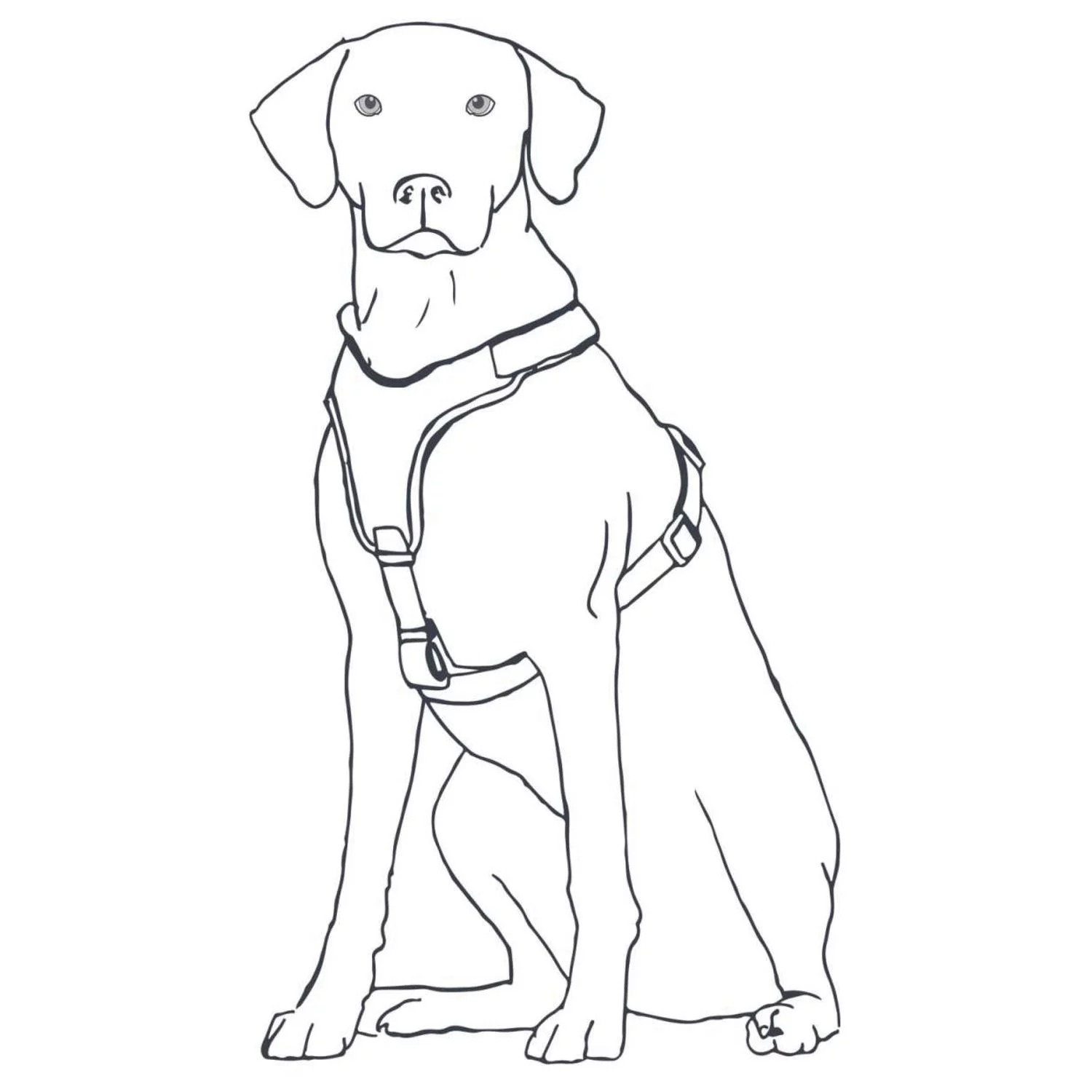 Hunter Harnas Maldon Petrol&Grijs - Hondentuig 7 Hunter Harnas Maldon Petrol&Grijs - Hondentuig - Afbeelding 7