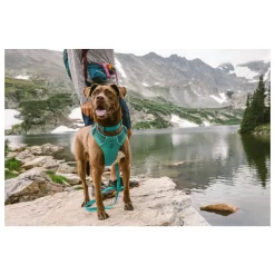 Ruffwear Front Range Collar Aurora Teal Teal - Hondenhalsband 11 Ruffwear Front Range Collar Aurora Teal Teal - Hondenhalsband -Dierbenodigdheden-Honden 4345 M 30019003 4
