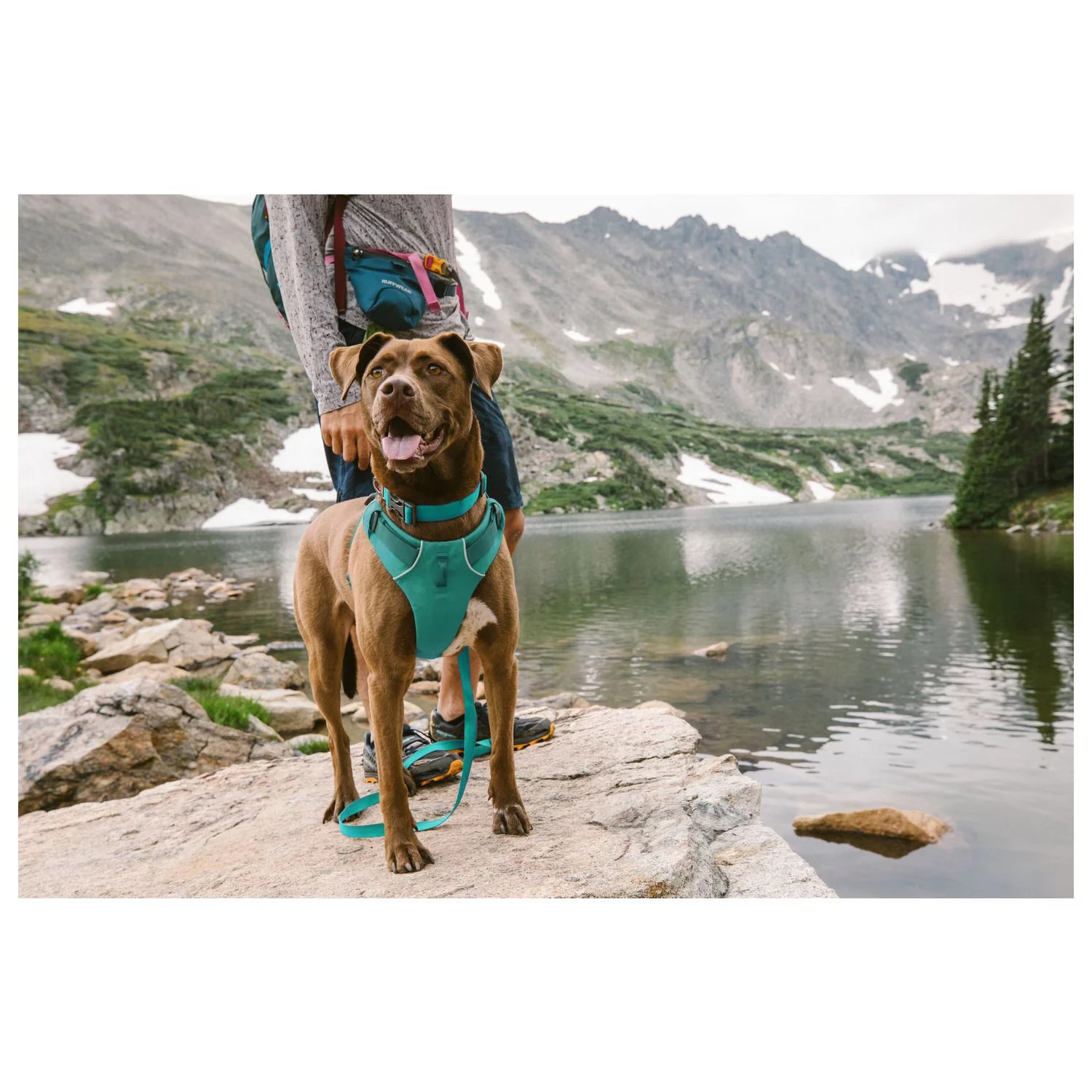 Ruffwear Front Range Collar Aurora Teal Teal - Hondenhalsband 4 Ruffwear Front Range Collar Aurora Teal Teal - Hondenhalsband - Afbeelding 4