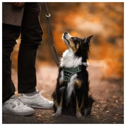 Hunter Harnas Divo Groen&Grijs - Hondentuig 16 Hunter Harnas Divo Groen&Grijs - Hondentuig -Dierbenodigdheden-Honden 4362 M 30013781 7